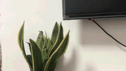 自驾旅行偷东西被抓了怎么处理,自驾游被偷怎么处理