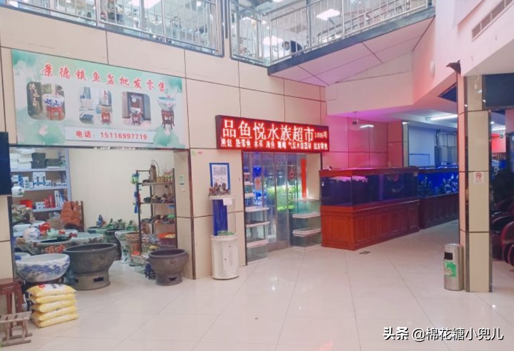 北京盆栽花卉批发市场,北京众兴花卉批发市场