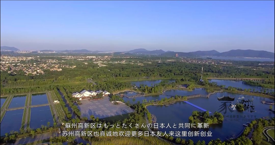 高真的是高,高实在是高啊