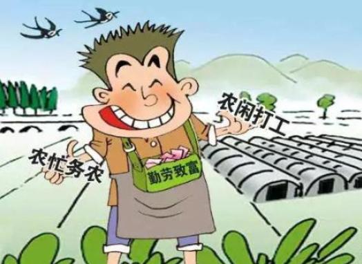 农业种地发家致富,农民种地致富的路子