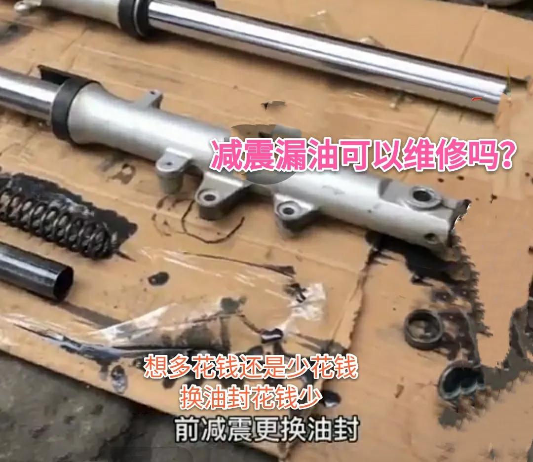 电动车前减震漏油有异响怎么回事,电动车前减震漏油怎么处理视频