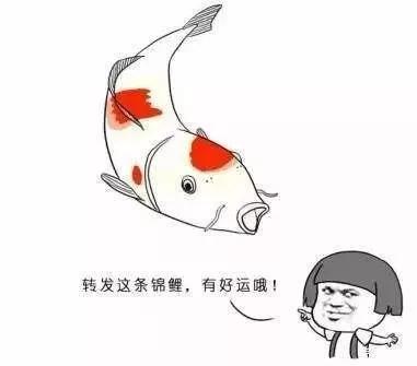 自称被“仙人托梦”，湘潭一市民挖鱼塘养鱼，结果警察找上门…