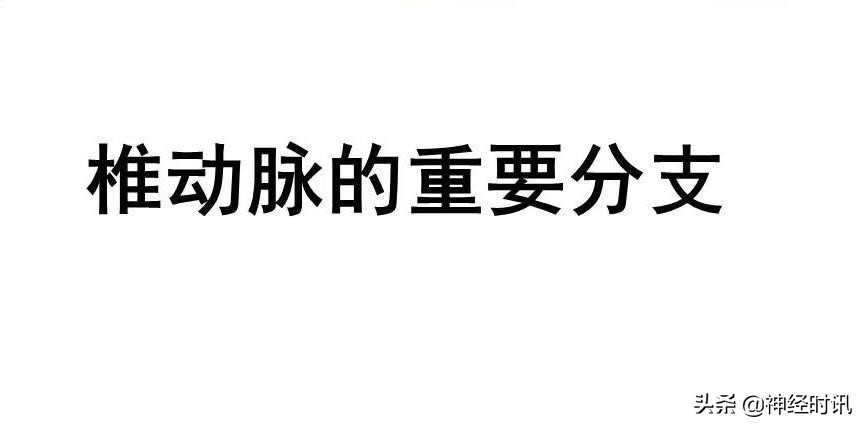 脑动脉解剖学讲解,基底节区脑血管解剖