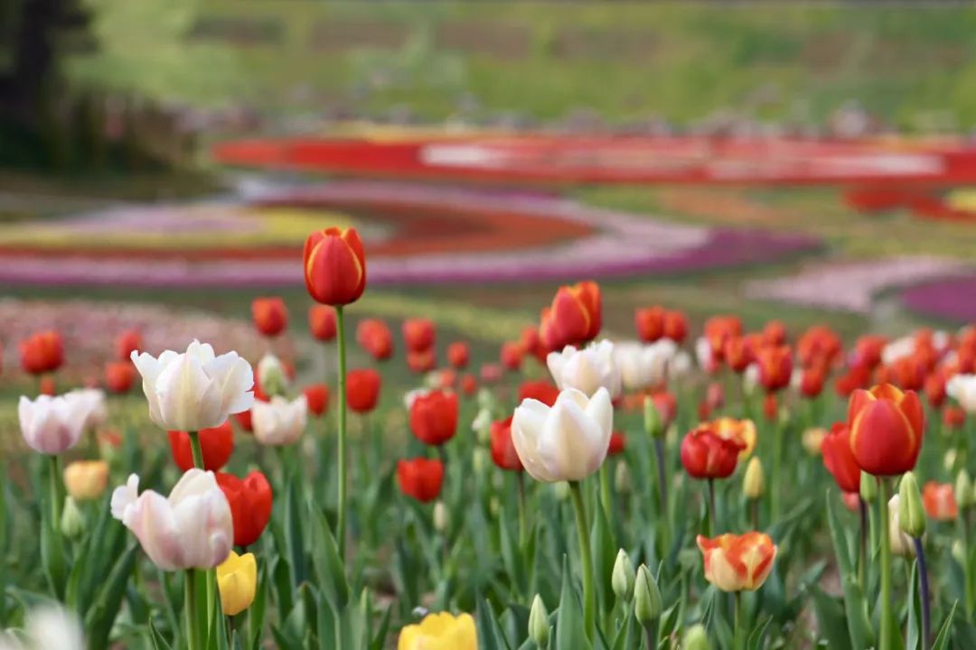 鍗佸牥51鍑鸿鏀荤暐,婀栧寳鍗佸牥鏃呮父鏀荤暐浜斾竴