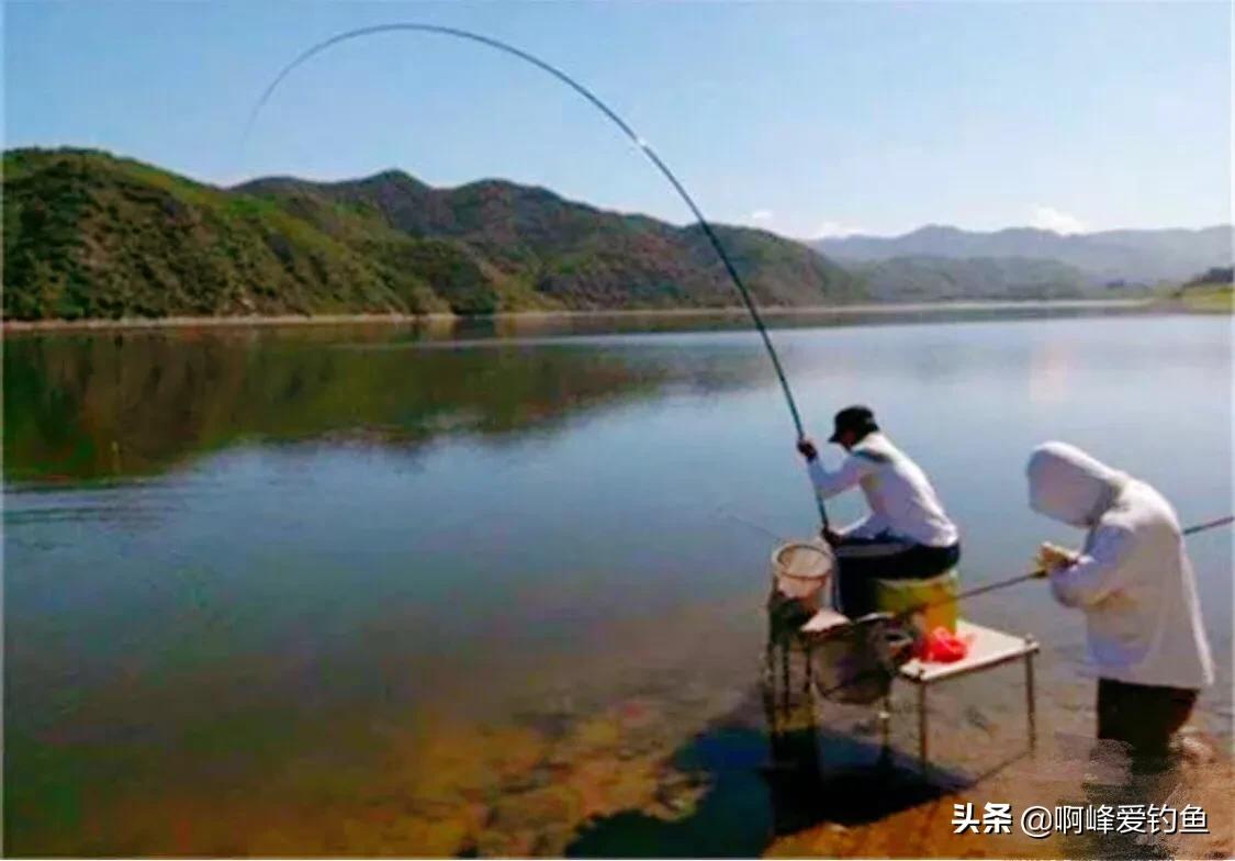 野钓如何钓底层鱼类最好,野钓怎么钓大个体鱼