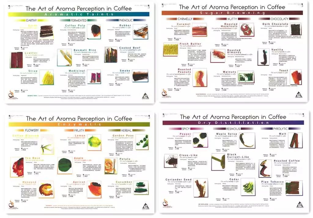 咖啡常见风味,咖啡滋味有多少种