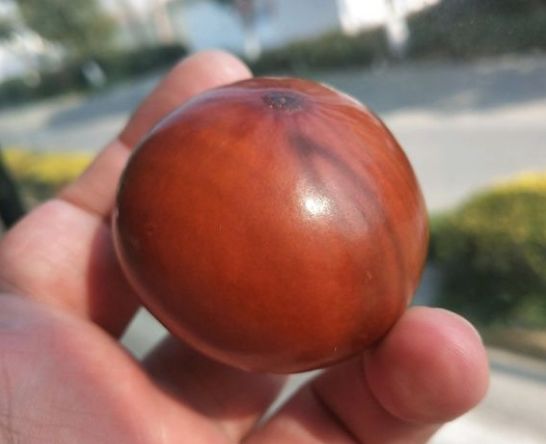 普通人玩不起的三种文玩,绝对不能玩的五种文玩