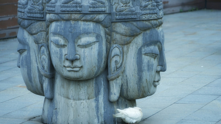 茅山宝盛园周边游玩,茅山宝盛园所有游乐设施