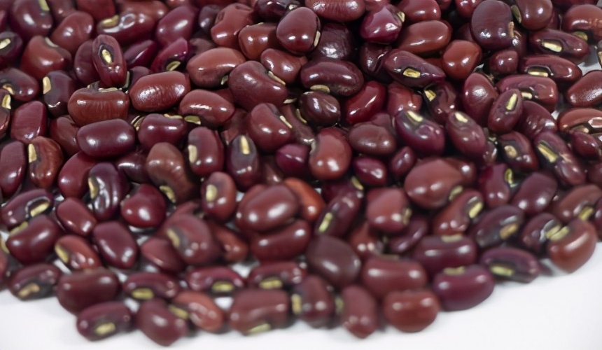 高性价比电压力锅实用推荐,日本最好电压力锅品牌排行