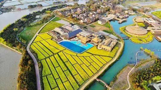 社会组织乡村振兴项目运作模式,乡村产业振兴10个经典模式