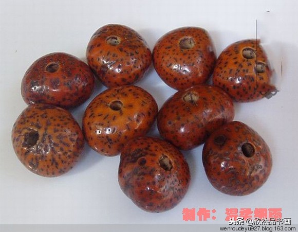 木鱼菩提子的种类全图解,菩提子手串种类图