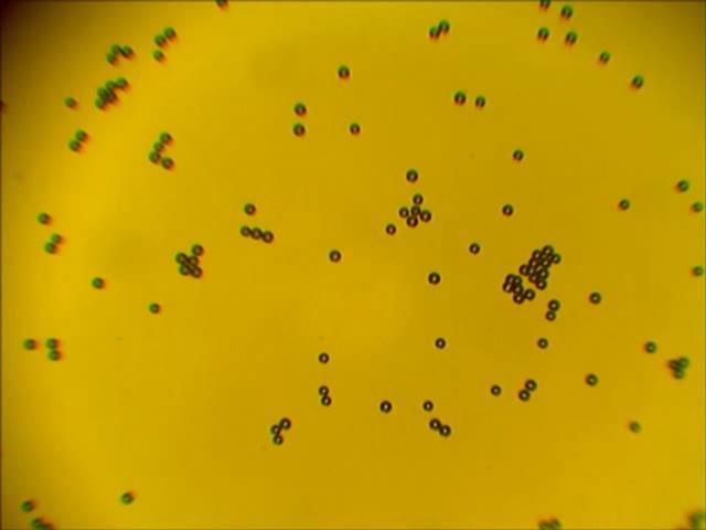 立体式显示器,未来3d立体显示器