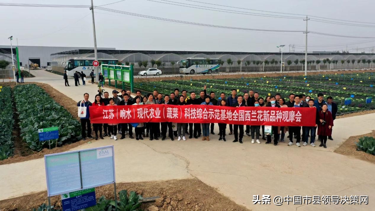 长三角(响水)西兰花产业研究院签约揭牌仪式在响水县举行