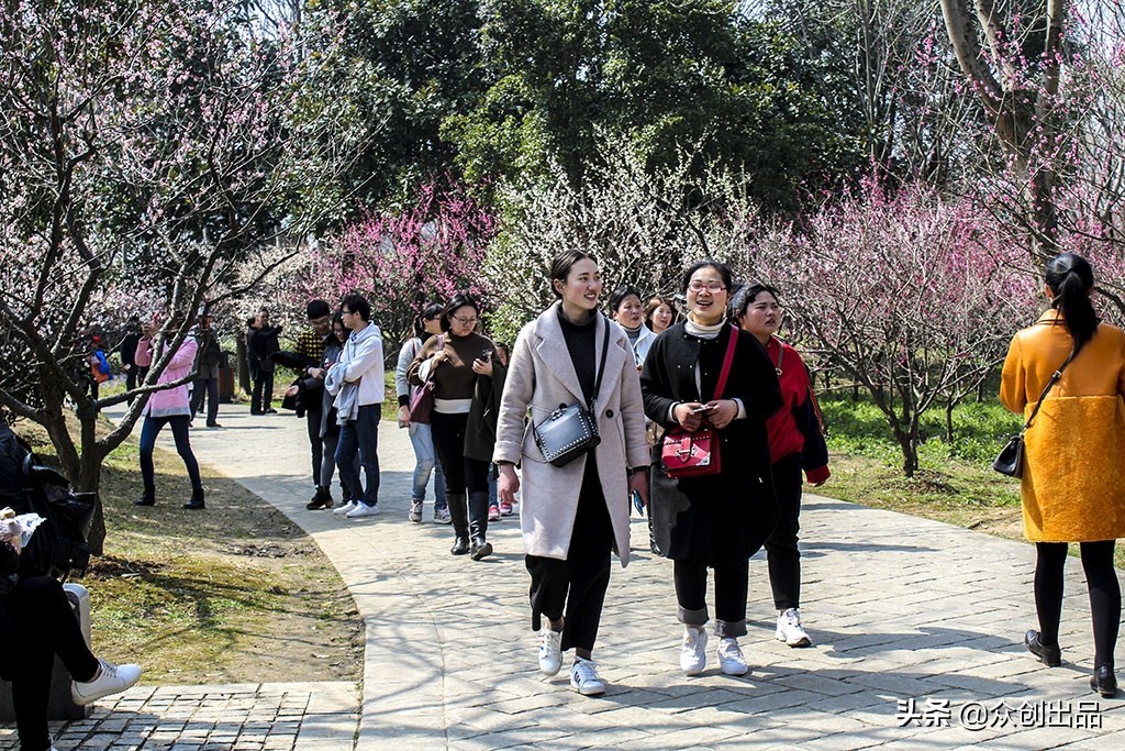 南京第一梅山,南京梅山和梅花山