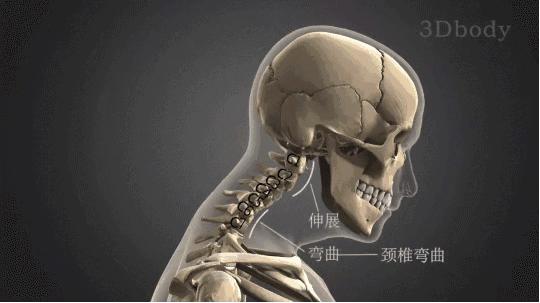 一文带你了解～气质杀手！比矮还要可怕的是脖子短粗