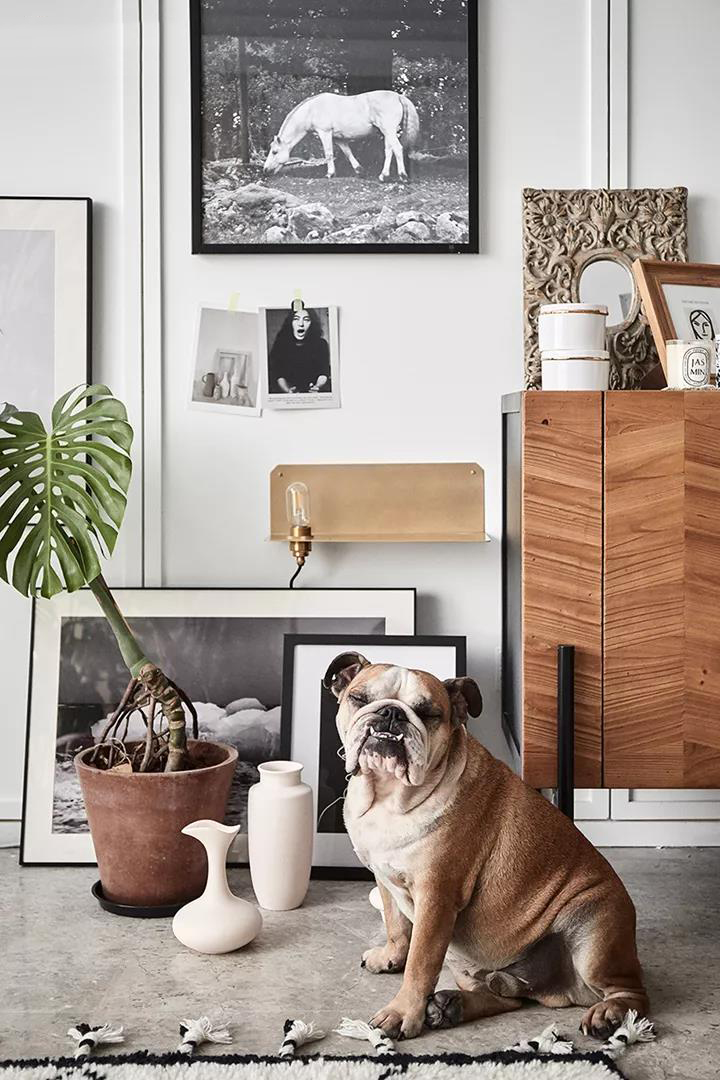 软装设计到底是做什么,软装设计从哪里入手