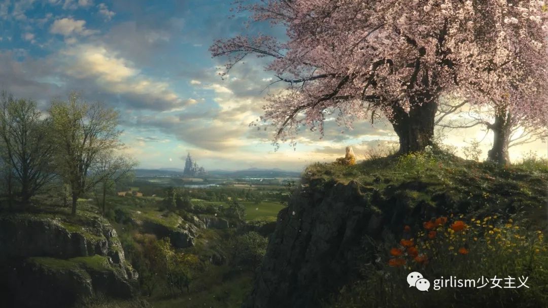 迪士尼公主所有公主裙,迪士尼公主系列裙子成人