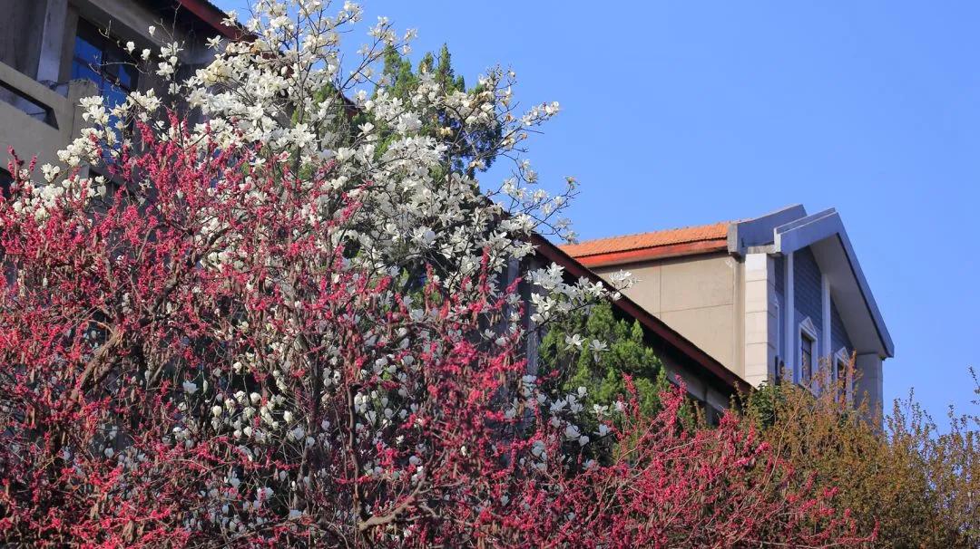 上海交大学生是怎么过假期的,上海交大寒假放假时间2021-2022