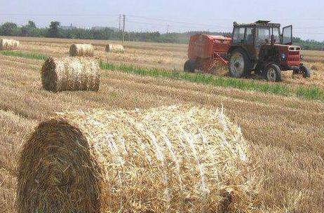 柿黄集村:麦秸打捆成饲料一天能挣400多