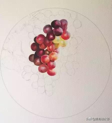 晶莹剔透的葡萄,水彩葡萄图片