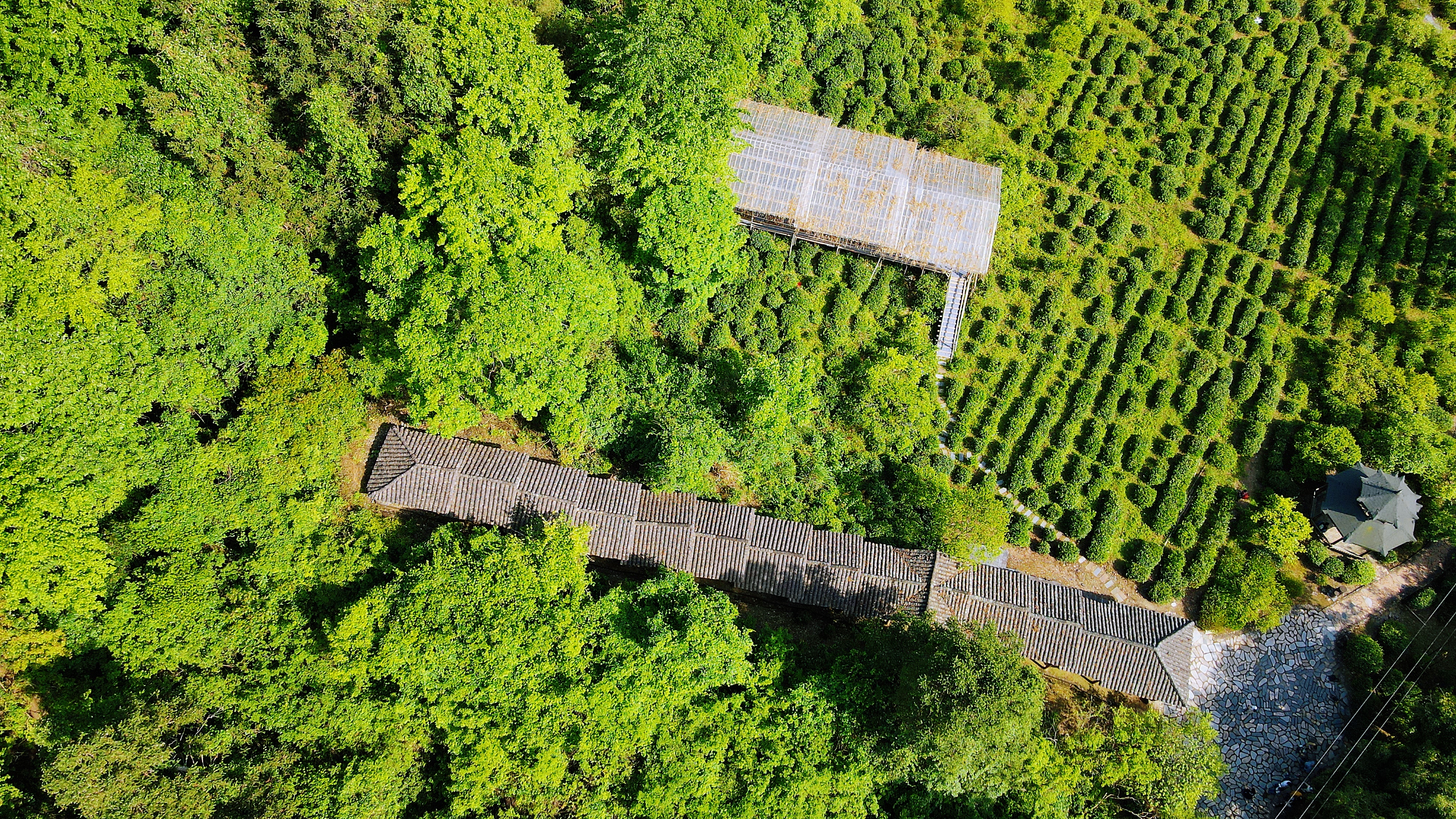 景德镇茶之源瓷之都,景德镇浮梁茶文化
