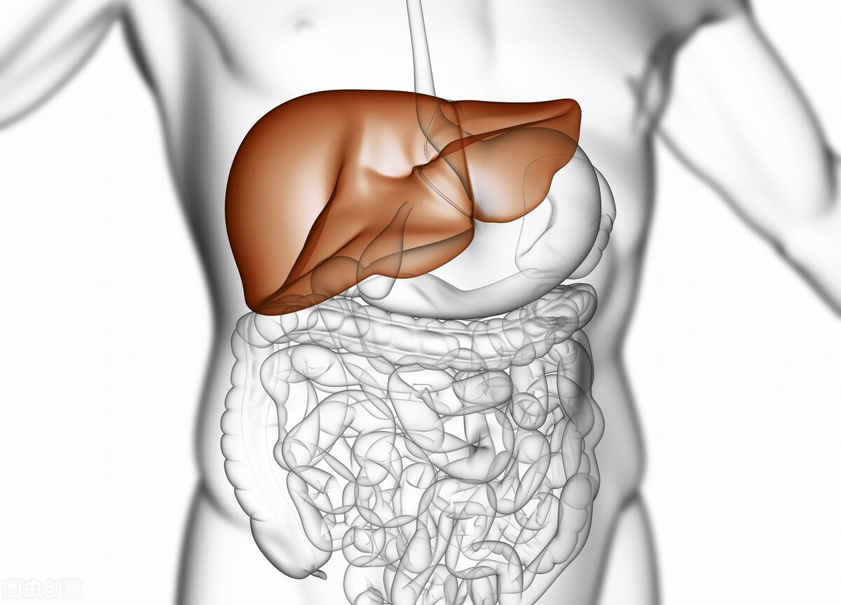 经络调理甲状腺结节有用吗,从中医的角度谈甲状腺