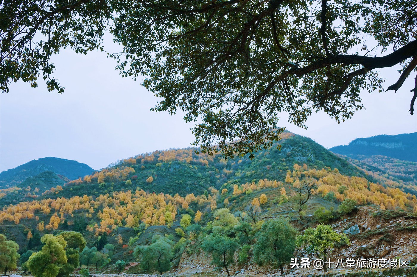 张家口有什么峡谷,张家口有什么大峡谷