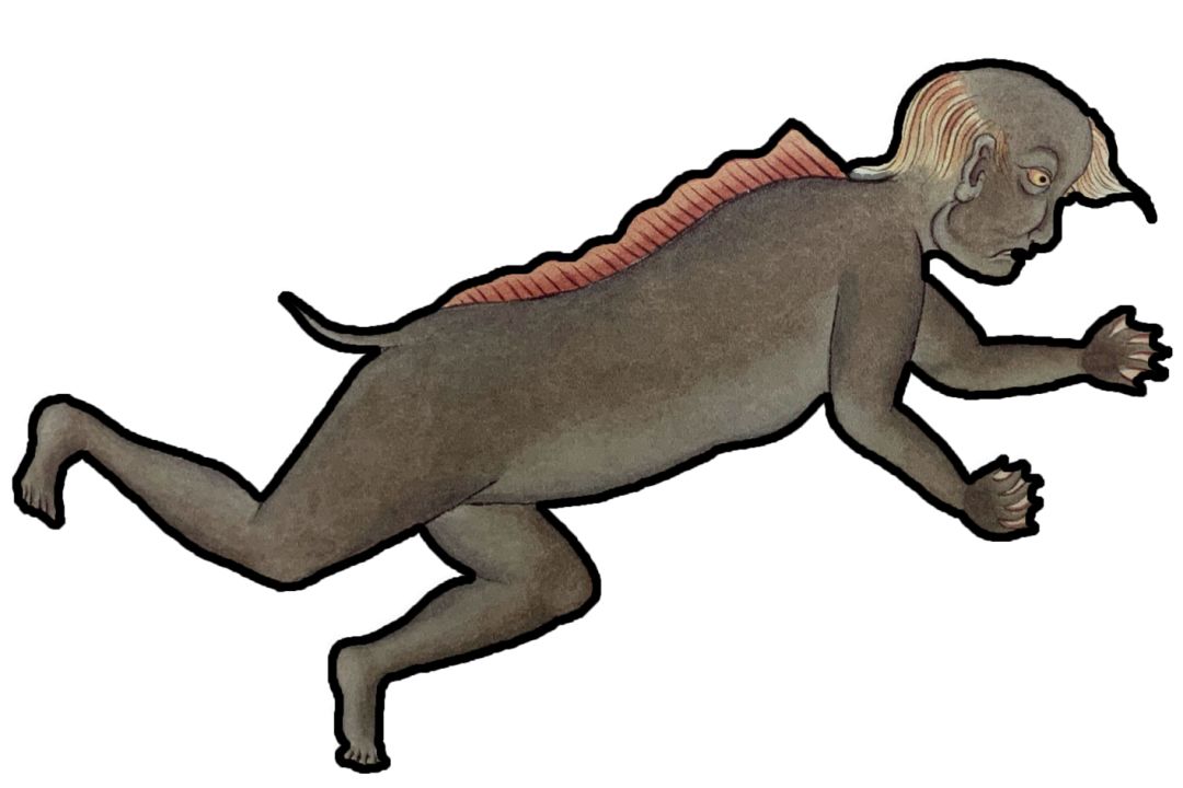 你知道的美人鱼的故事,你见过真实的美人鱼吗