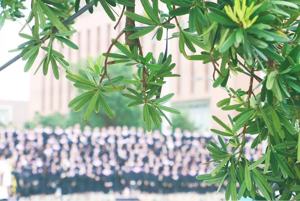 毕业季毕业照拍照姿势,毕业季来袭这些毕业照太硬核