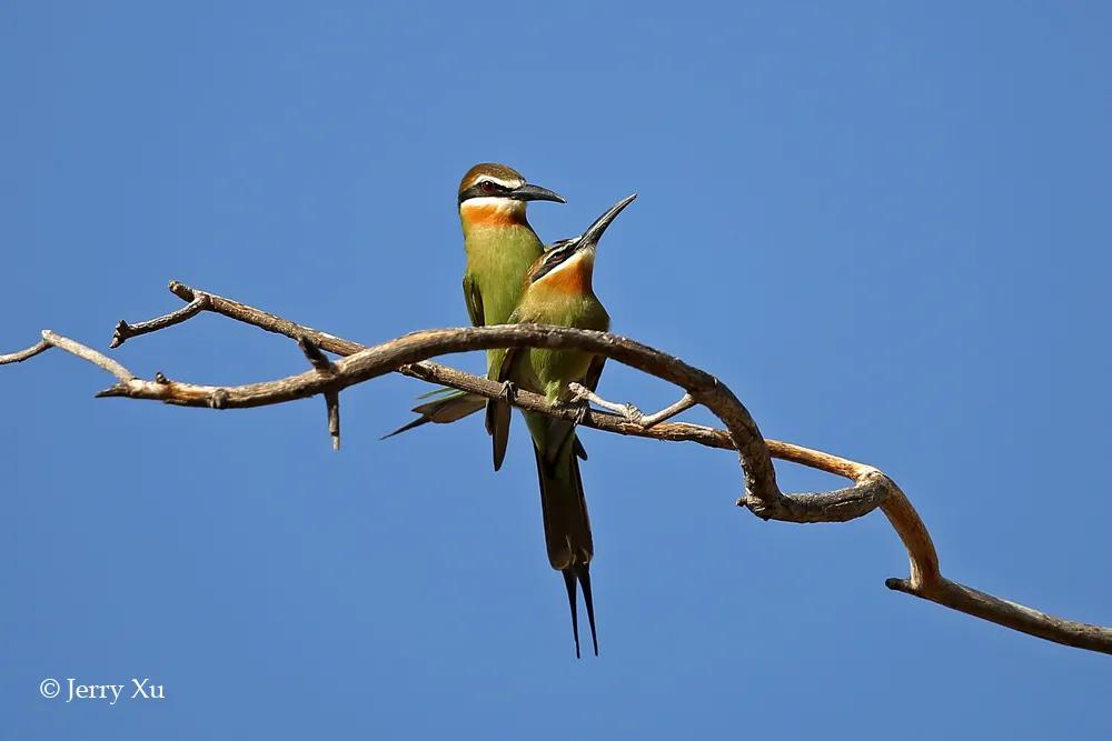 情人节,就该和爱的人*爱做**做的事