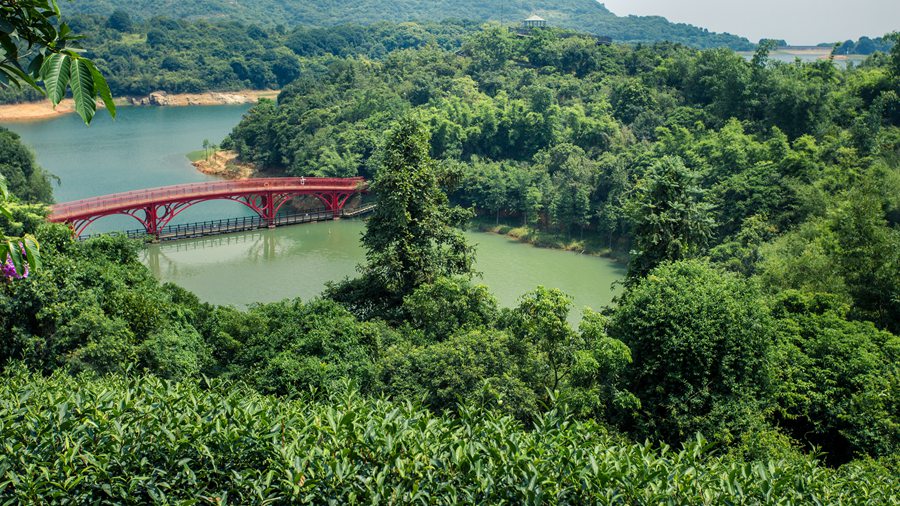 华侨城特价酒店,深圳华侨城酒店特惠