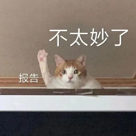 十项全能的大学老师有多恐怖？评论打开新世界…