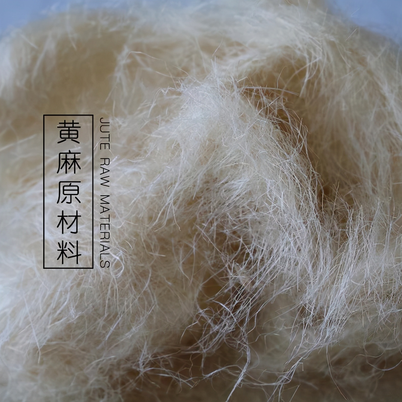 黄麻椰棕好还是黄麻好,黄麻椰棕与黄麻环保棕区别