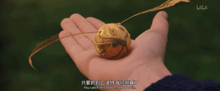 十天突破百亿的神作,2023顶级神作