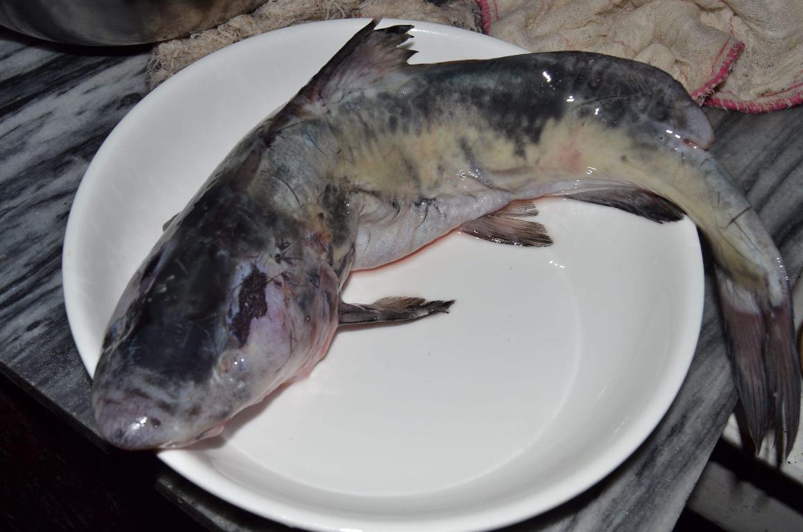 平时做鱼吃,切鱼很容易滑动?知道怎样才不滑动吗?现在来看看吧