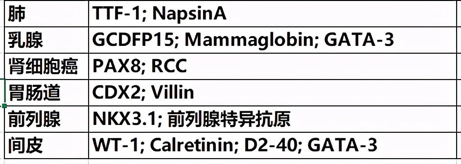 解读中华医学会肿瘤学分会肺癌临床诊疗指南（2021版）-病理学篇