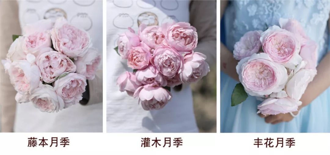 按头安利!5块钱淘宝好物,解决最难搞的收纳问题