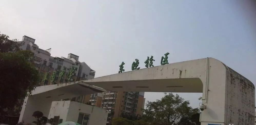 罗湖翠园东晓中学排名怎么样,深圳翠园东晓创新学校和松泉中学