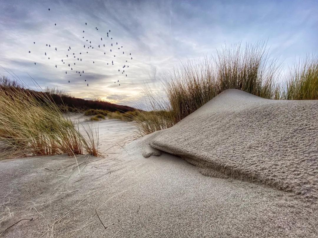 2020iphone摄影赛第一名,2019iphone摄影大赛获奖作品