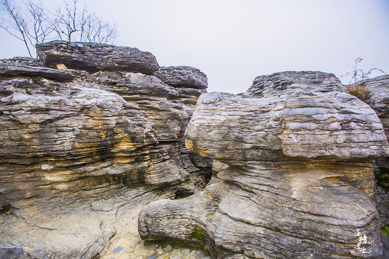 黄山西递古村落景点简介,黄山市西递古村落图片