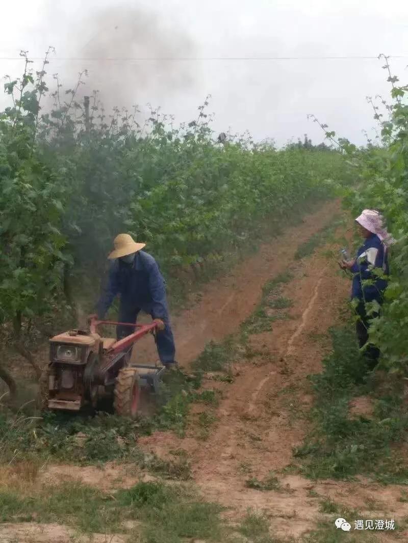 好运古建澄城图片,澄城县好运古建