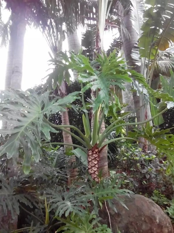 一个人在海边玩一天,一个人在海边怎么玩