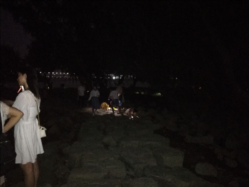 红树林发朋友圈句子,朋友圈吸引人的句子发呆