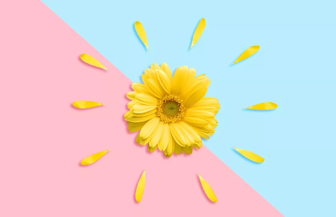 屁股小肉球缩不回去怎么办,屁股上的小肉球老是出来怎么办