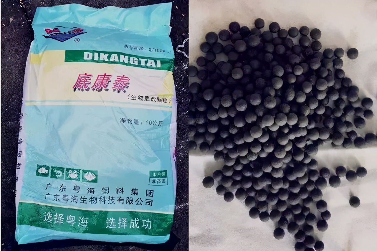 芽孢杆菌使用禁忌百菌清,正确认识硝化细菌