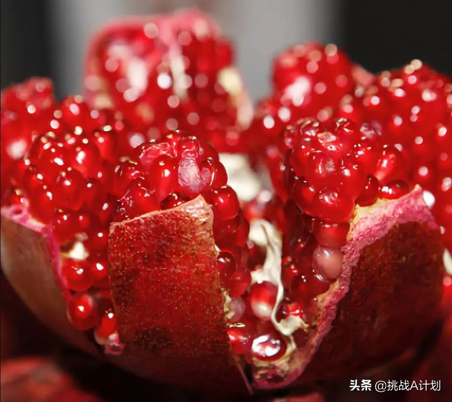 霜降吃石榴:突尼斯软籽石榴