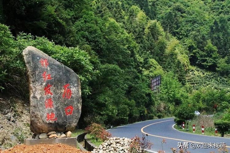 中国十大品牌茶叶排名,中国的十大茶叶品牌最新排名