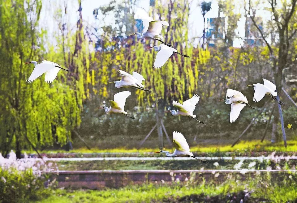 郑州高速公路发展历程,2018年郑州市经济增长速度