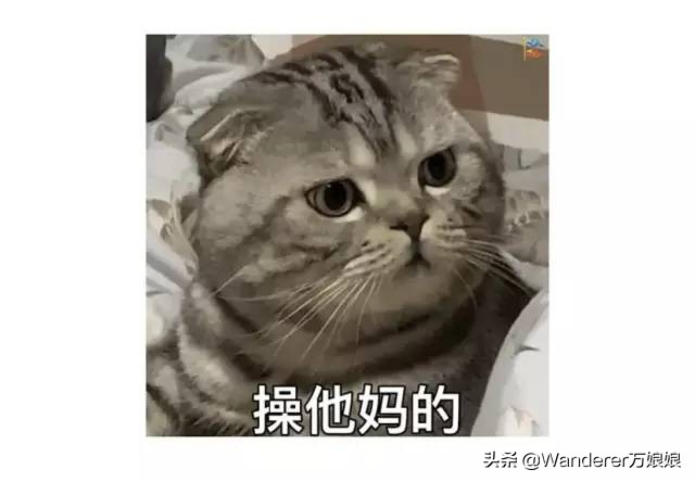 多亏这些宝藏网友，让我笑到免疫力增强