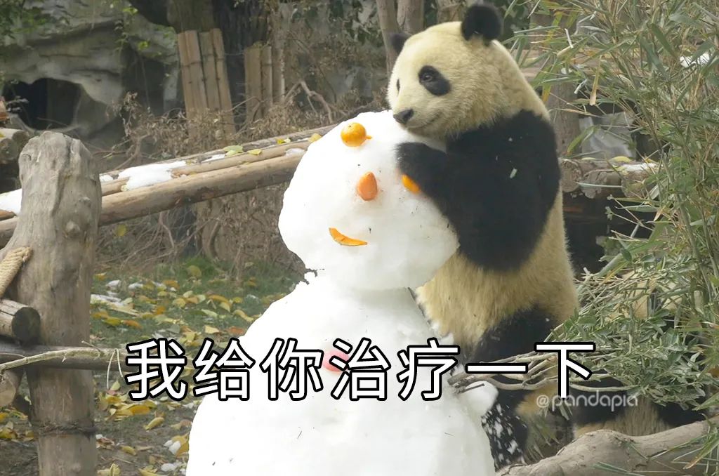 只要肯努力丑小鸭也能变成白天鹅,只要肯努力可以逆袭吗